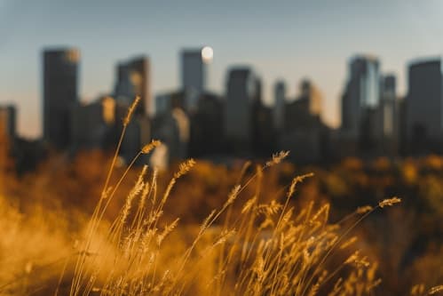 Blockchain for Supply Chain Transparency